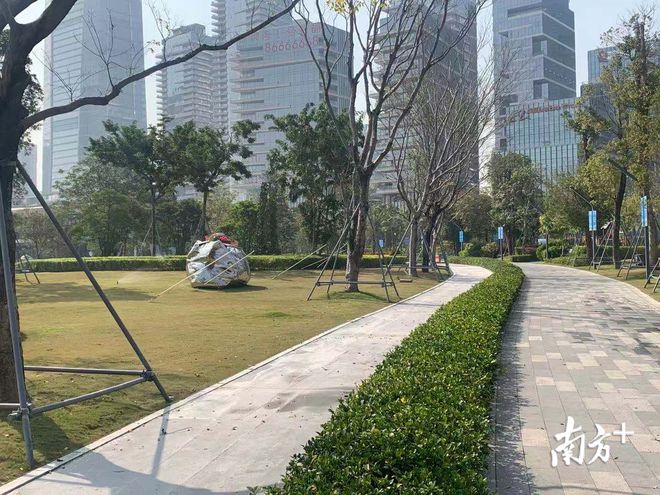 深圳人才公园塑胶跑道被“扒皮”传言跑道换成水泥砖小南调查发现事实(图4)
